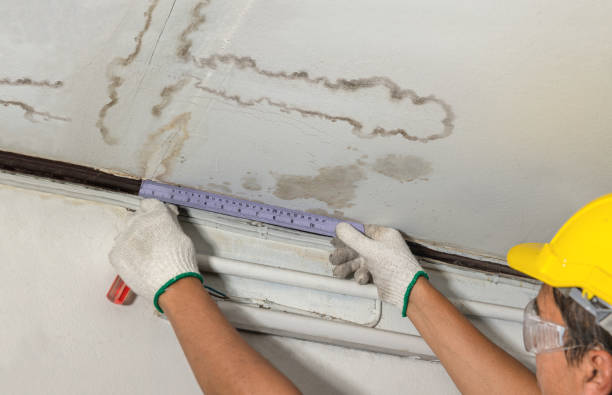 Reliable Burst Pipe Cleanup contractor in Bristolville, OH by Water Damage Irwin
